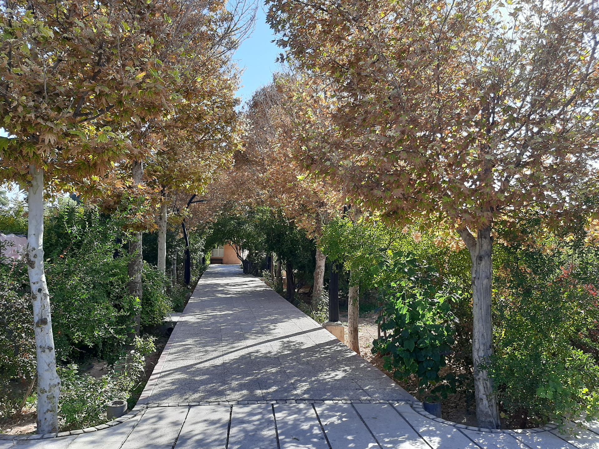 عکس بوستان کتاب