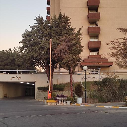 عکس برج سوسن