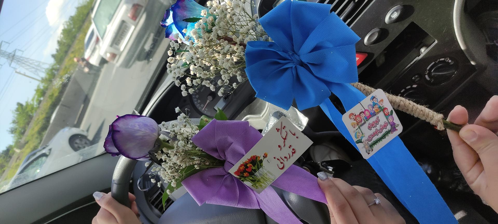 عکس خانه گل