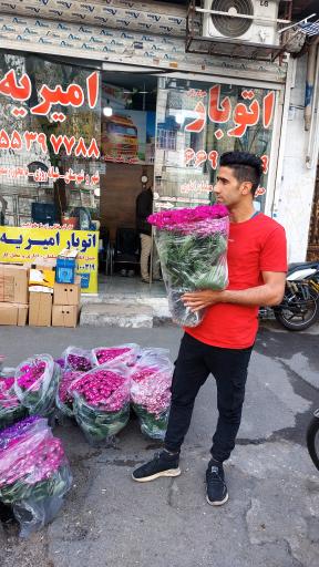عکس اتوبار امیریه