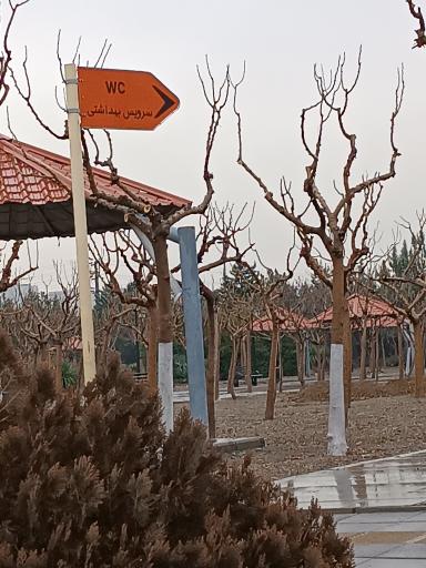 عکس سرویس بهداشتی