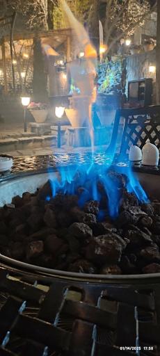 باغ رستوران شاخه نبات