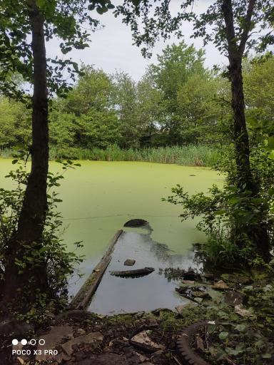 عکس تالاب گمشده کرد محله