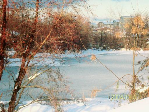 عکس تالاب گمشده کرد محله