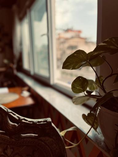 عکس عمارت داج