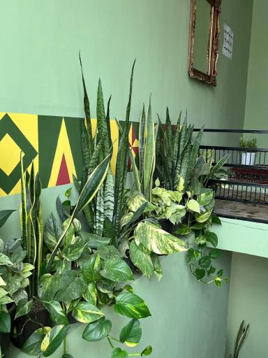 عکس عمارت داج