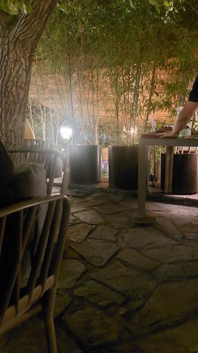 عکس باغ رستوران شاخه نبات