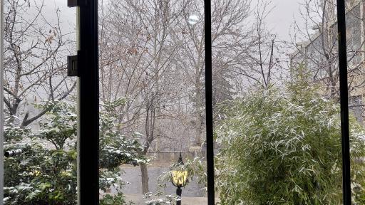 عکس باغ رستوران شاخه نبات