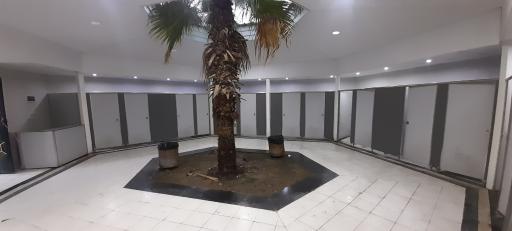 عکس سرویس بهداشتی