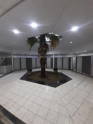 عکس سرویس بهداشتی