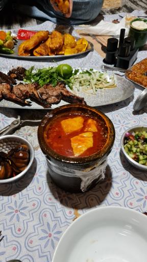 عکس باغ رستوران شاخه نبات