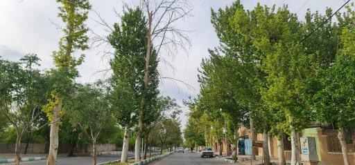 عکس جوپار