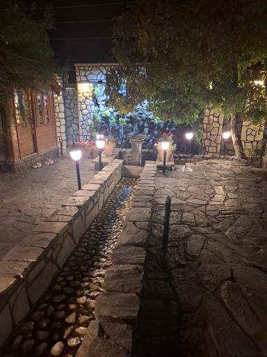 عکس باغ رستوران شاخه نبات
