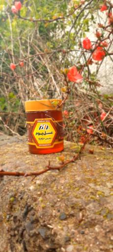 عکس گالری عسل بوم