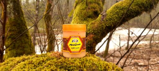 عکس گالری عسل بوم