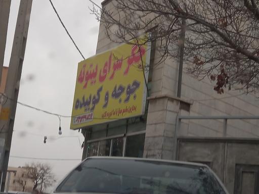 عکس جگرسرا بیتوته