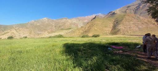 عکس دشت هویج گرچال