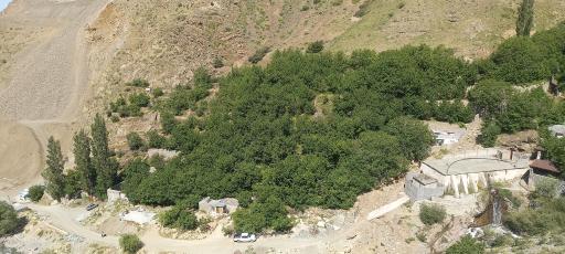 عکس دشت هویج گرچال