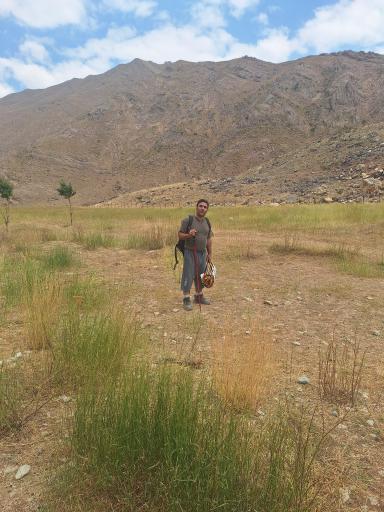 عکس دشت هویج گرچال