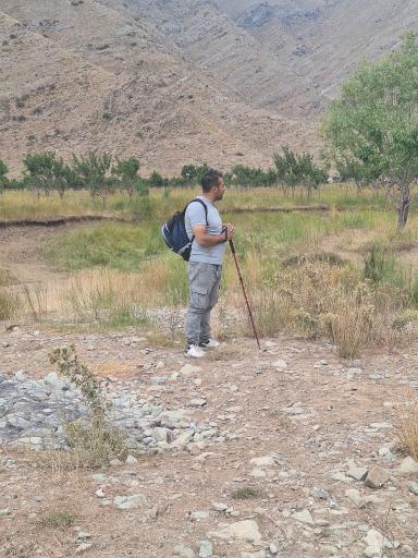 عکس دشت هویج گرچال