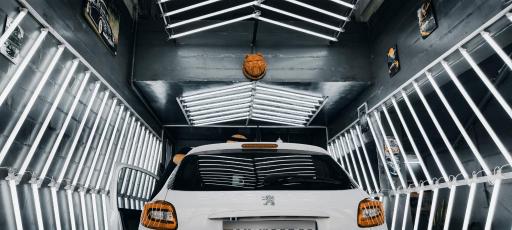 عکس تشخیص رنگ یارلو(شعبه کارون)