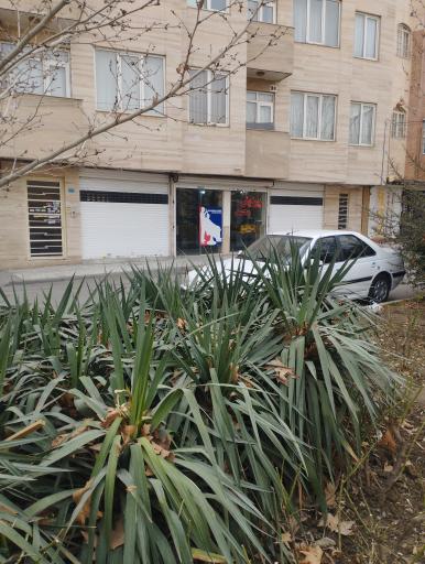 عکس پیرایش محمد