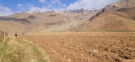 عکس دشت هویج گرچال