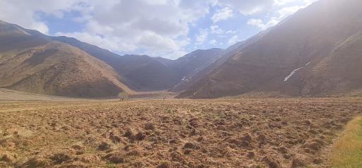 عکس دشت هویج گرچال