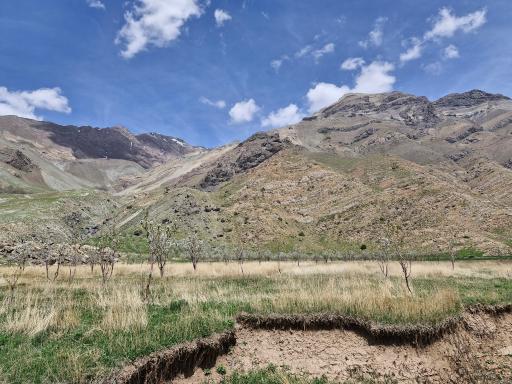 عکس دشت هویج گرچال