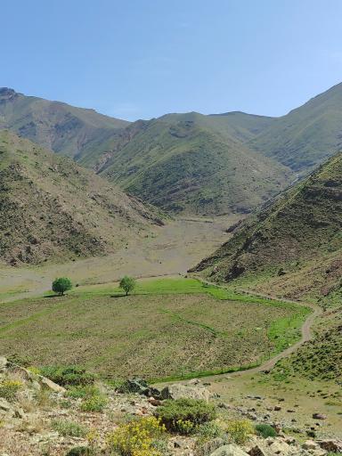 عکس دشت هویج گرچال