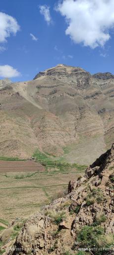 عکس دشت هویج گرچال