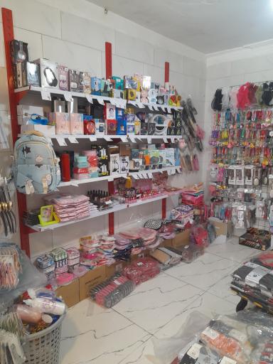 عکس آرایشی و نوشت افزار کوروش