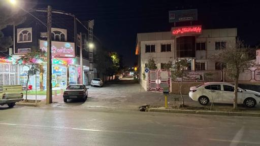 عکس سیسمونی میرزایی