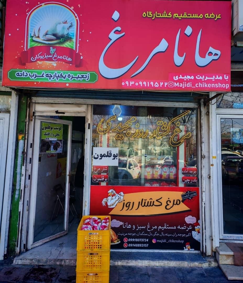 عکس کشتار روز مرغ مجیدی