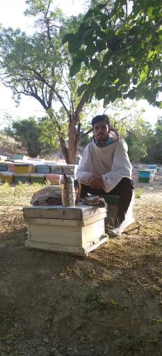 فروشگاه عسل زنبورستان گوهر نایاب