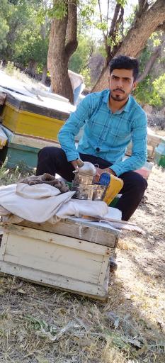 فروشگاه عسل زنبورستان گوهر نایاب