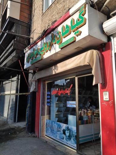 عکس دارو گیاهی مولودی
