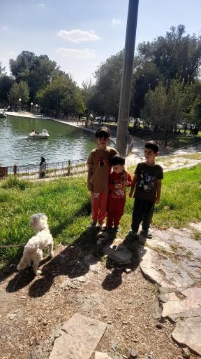 عکس دریاچه پارک شرقی طاقبستان