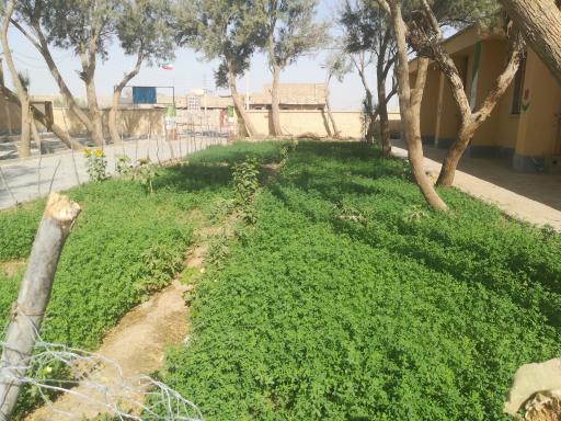 عکس مدرسه پسرانه علی ابن ابیطالب