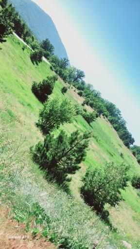 عکس پارک شهید زارع ساری