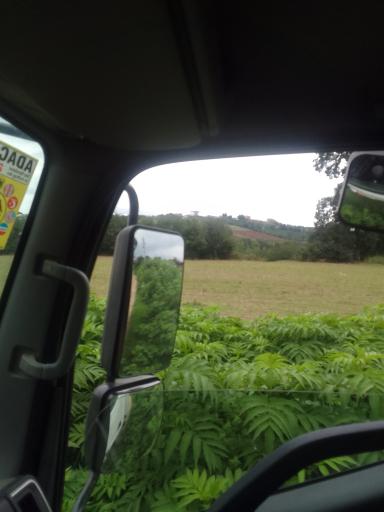 عکس پارک شهید زارع ساری