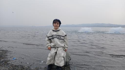 عکس ساحل دریاچه شهدای خلیج فارس