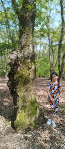 عکس پارک شهید زارع ساری