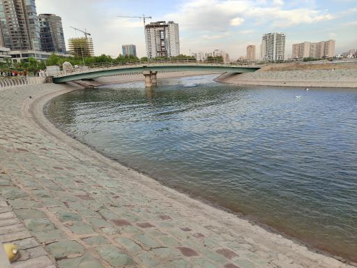 ساحل دریاچه شهدای خلیج فارس