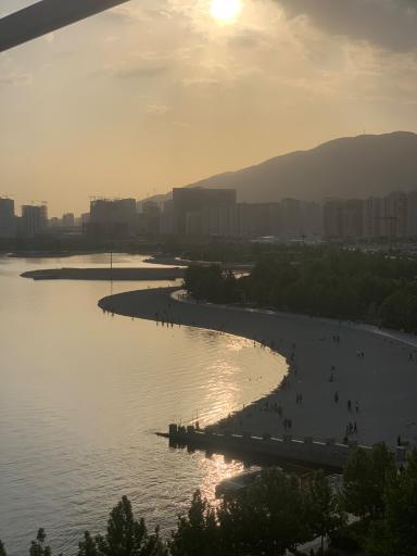 عکس ساحل دریاچه شهدای خلیج فارس