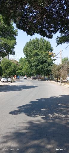 عکس هیر