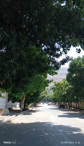 عکس هیر