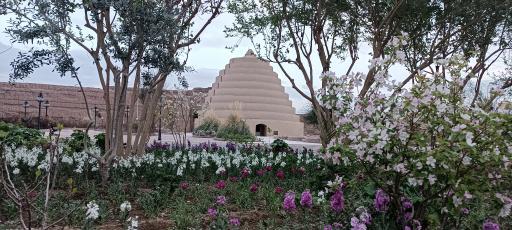 عکس بوستان یخدان 