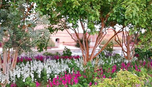 عکس بوستان یخدان 