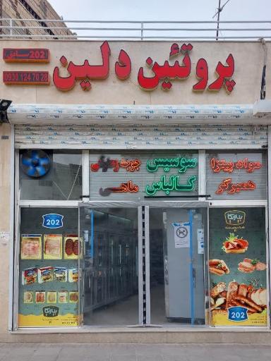 عکس پروتئین دلین (202سابق)